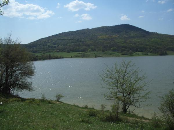 участки земли.